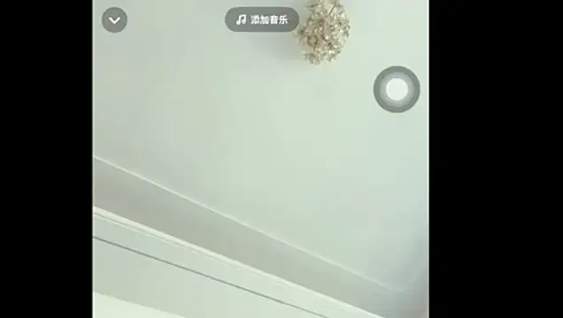 MeimeiD online show from April 1, 2026, 4:14 am