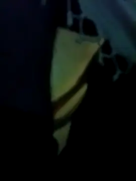 Snapshot of yourdreamman007_ chatting on March 31, 2026, 11:29 pm yourdreamman007 online show from March 31, 2026, 11:29 pm