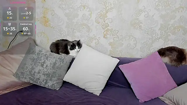 Snapshot of Simply_Alex chatting on May 15, 2026, 1:03 am Simply Alex online show from May 15, 2026, 1:03 am