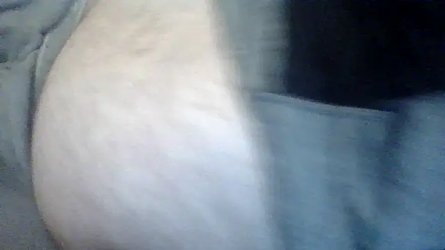 Snapshot of TBFL0204 chatting on July 30, 2026, 6:12 am TBFL0204 online show from July 30, 2026, 6:12 am