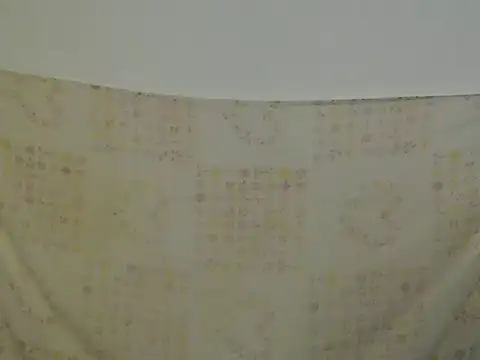 Snapshot of Daniellesafada chatting on April 17, 2026, 12:02 am Daniellesafada online show from April 17, 2026, 12:02 am