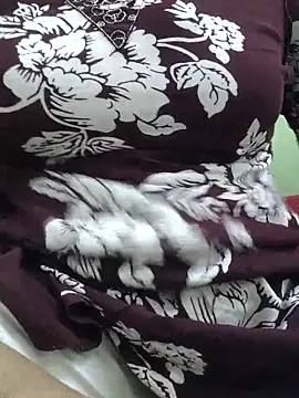 sexy payal hot online show from April 23, 2026, 10:11 am