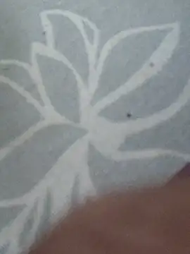sexy payal hot online show from April 29, 2026, 10:52 am