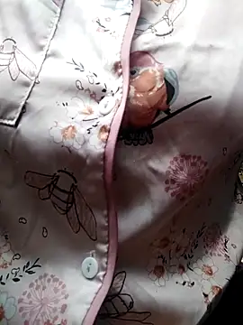 giahan1 online show from April 10, 2026, 12:50 am