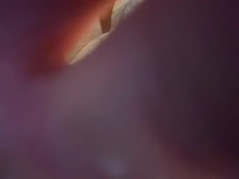 youngwildfreee online show from April 23, 2026, 7:15 pm