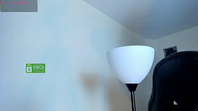 Snapshot of Ravenelle_ chatting on May 13, 2026, 11:45 pm Ravenelle online show from May 13, 2026, 11:45 pm