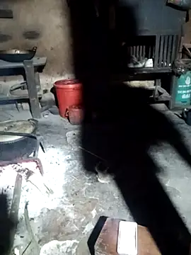 ngockem online show from April 23, 2026, 1:13 pm