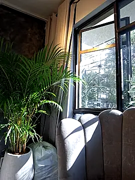 AshleyyHall online show from July 28, 2026, 8:52 pm