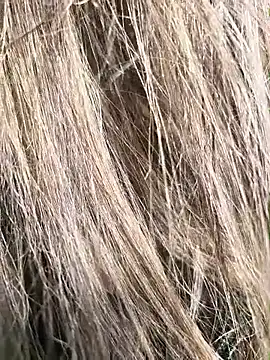 Snapshot of erikthor chatting on June 26, 2026, 8:14 pm erikthor online show from June 26, 2026, 8:14 pm