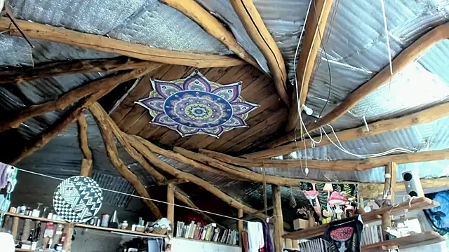 Snapshot of wildforestmuse_ chatting on July 8, 2026, 6:14 am wildforestmuse online show from July 8, 2026, 6:14 am