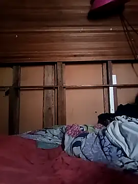 Camodick online show from February 11, 2026, 10:37 am