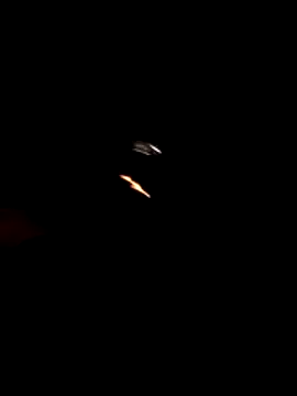 Snapshot of tom_latin chatting on May 20, 2026, 1:13 am tom latin online show from May 20, 2026, 1:13 am