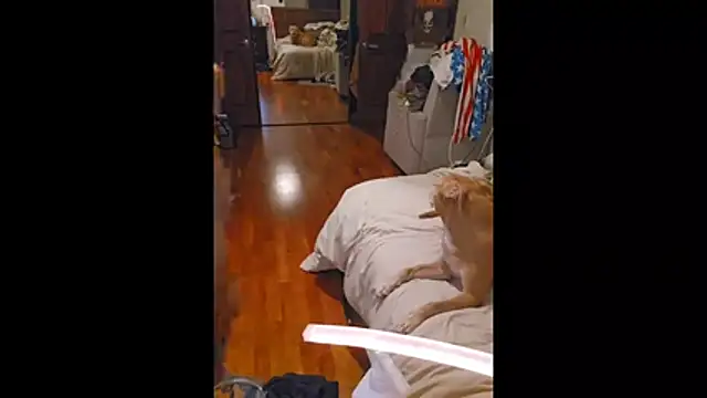 Snapshot of Clevername90 chatting on October 26, 2025, 1:50 am Clevername90 online show from October 26, 2025, 1:50 am