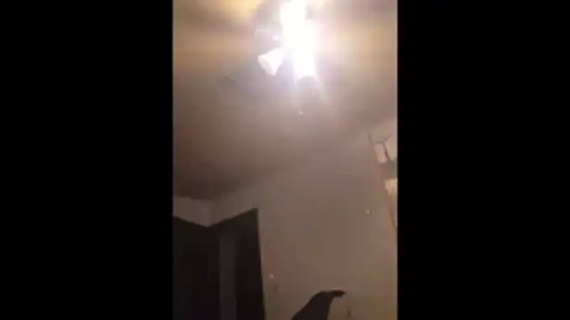 Snapshot of Clevername90 chatting on November 25, 2025, 11:05 pm Clevername90 online show from November 25, 2025, 11:05 pm