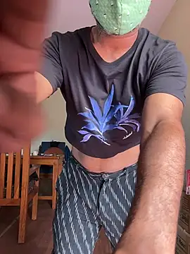 syntaxbear online show from June 15, 2026, 3:07 am