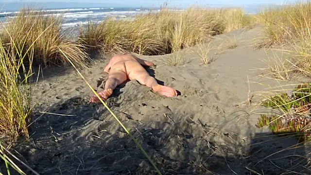 dog-naked online show from November 30, 2025, 9:37 pm