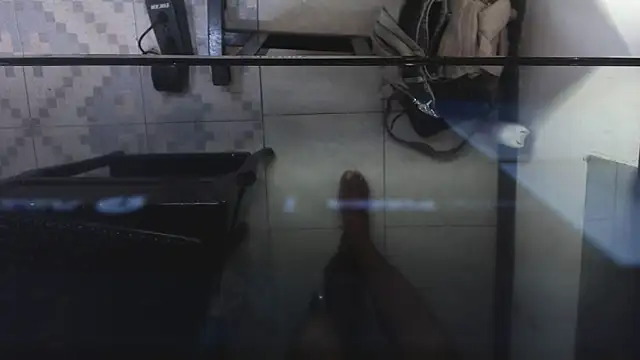 AshleySofiaThenison online show from May 29, 2026, 3:34 am
