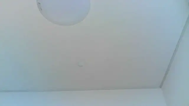 yoci0101 online show from June 29, 2026, 4:39 pm