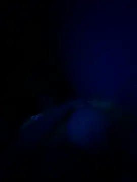 Felicxz online show from June 17, 2026, 2:22 am