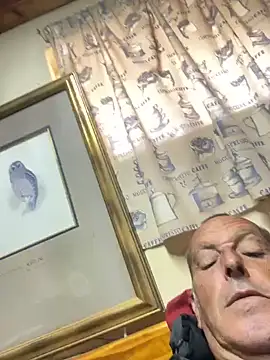Snapshot of GeldenKuy chatting on July 29, 2026, 9:08 am GeldenKuy online show from July 29, 2026, 9:08 am