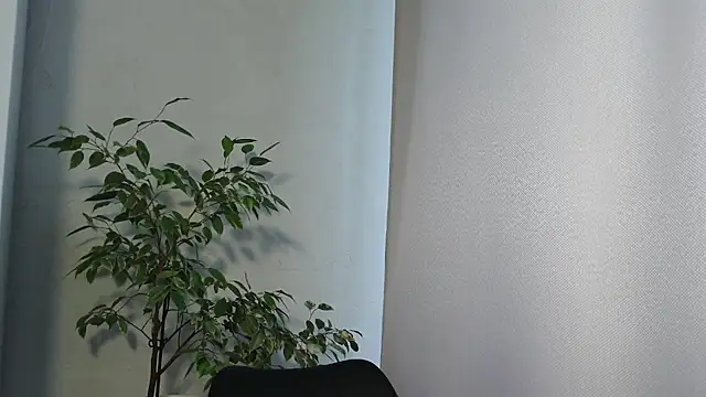 MariaTravel online show from July 24, 2026, 2:35 pm