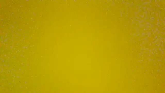 Snapshot of PinguinaTraviesa chatting on June 19, 2026, 4:02 pm PinguinaTraviesa online show from June 19, 2026, 4:02 pm