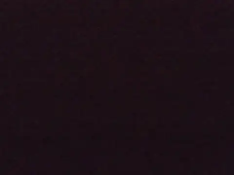 EllieTan online show from August 5, 2026, 5:34 am