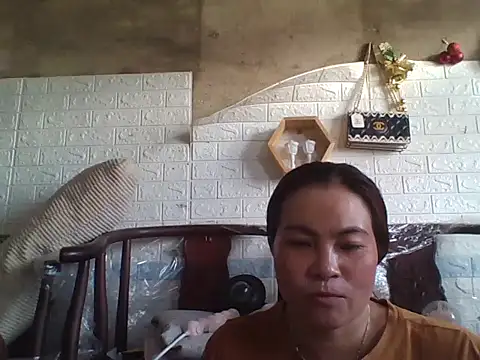 Link-lovely online show from July 24, 2026, 6:20 am