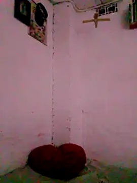 TY ROYAL online show from July 26, 2026, 3:02 am