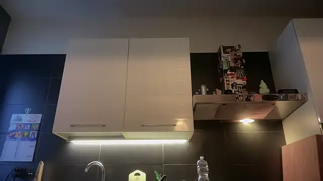 theitalianbear online show from January 7, 2026, 2:55 pm