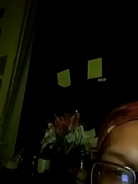 Snapshot of Meth_Hoe chatting on February 1, 2026, 7:06 am Meth Hoe online show from February 1, 2026, 7:06 am