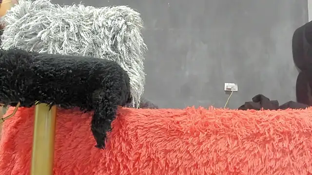 Snapshot of SandraGoldstein chatting on March 13, 2026, 1:21 am SandraGoldstein online show from March 13, 2026, 1:21 am