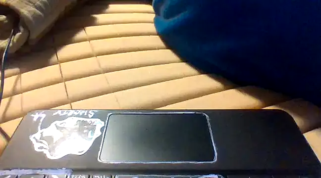 lilpervt online show from December 21, 2024, 7:35 am