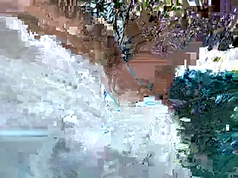 Snapshot of lilpervt chatting on June 11, 2026, 12:32 am lilpervt online show from June 11, 2026, 12:32 am