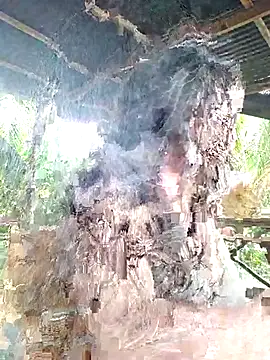 Snapshot of loveuu-bae chatting on October 23, 2025, 9:35 pm loveuu-bae online show from October 23, 2025, 9:35 pm