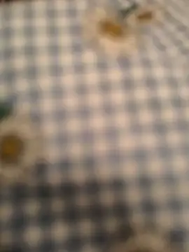 geilerboy2628 online show from March 10, 2026, 12:36 am