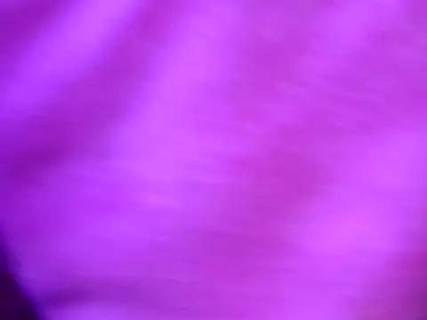 Snapshot of pamelasophia19 chatting on March 13, 2026, 3:17 pm pamelasophia19 online show from March 13, 2026, 3:17 pm