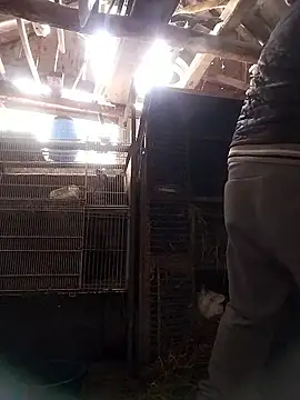 sarpe4 online show from January 10, 2026, 8:20 am