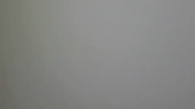 Snapshot of WetFlower69 chatting on February 16, 2025, 3:27 pm WetFlower69 online show from February 16, 2025, 3:27 pm