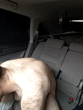 Cooking Cristal online show from March 20, 2026, 5:36 pm