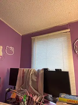 Snapshot of lolabunny9 chatting on February 8, 2025, 9:46 pm lolabunny9 online show from February 8, 2025, 9:46 pm