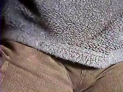 kalinixta online show from October 19, 2025, 6:32 pm