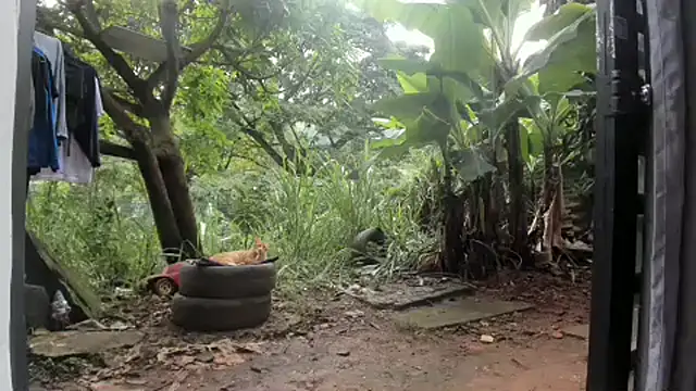 Snapshot of venusandzeus@xh chatting on February 27, 2025, 1:17 pm venusandzeusxh online show from February 27, 2025, 1:17 pm