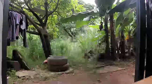 Snapshot of venusandzeus@xh chatting on December 5, 2024, 5:23 pm venusandzeusxh online show from December 5, 2024, 5:23 pm