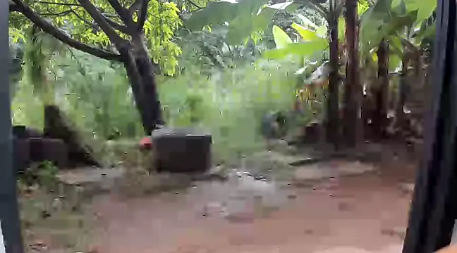 Snapshot of venusandzeus@xh chatting on December 14, 2024, 1:59 pm venusandzeusxh online show from December 14, 2024, 1:59 pm