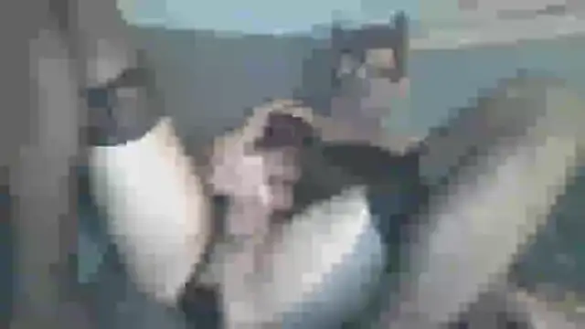 chceciedalsiebie online show from February 3, 2026, 2:53 am