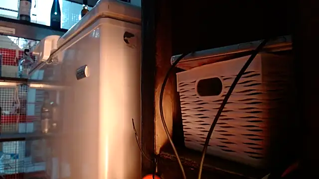 Snapshot of DAELAA chatting on November 10, 2025, 11:10 pm DAELAA online show from November 10, 2025, 11:10 pm