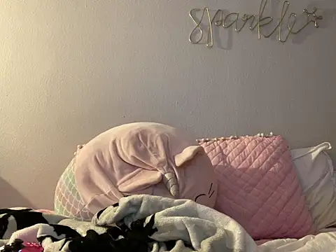 bunnypillow online show from December 10, 2024, 4:24 am