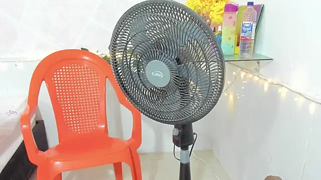 paola ih online show from October 28, 2025, 1:10 pm