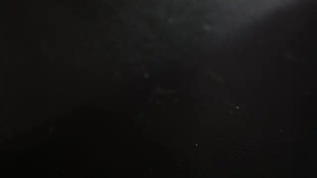 Tatty18 online show from March 4, 2025, 1:49 pm